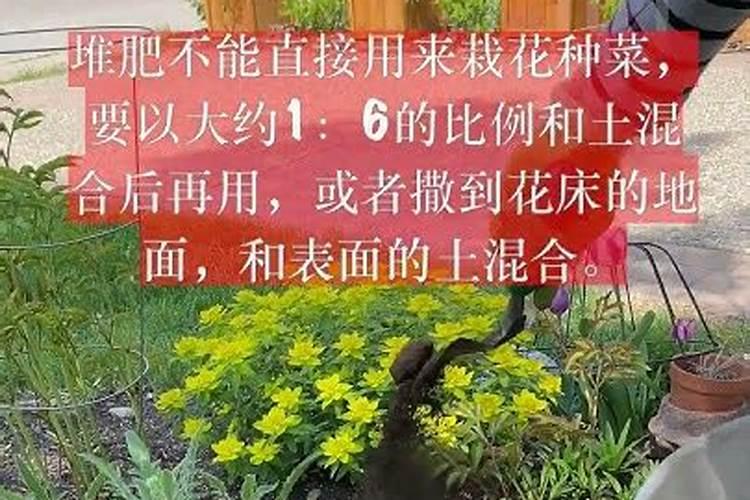 有机肥可以直接种花吗