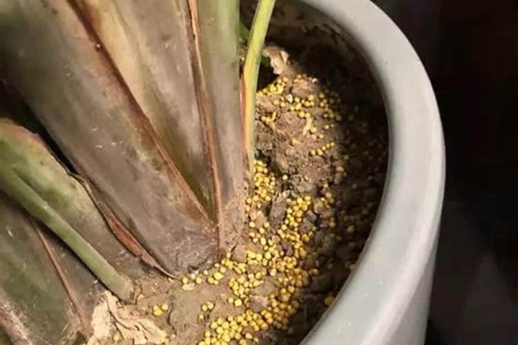 药品塑料瓶都用什么材质