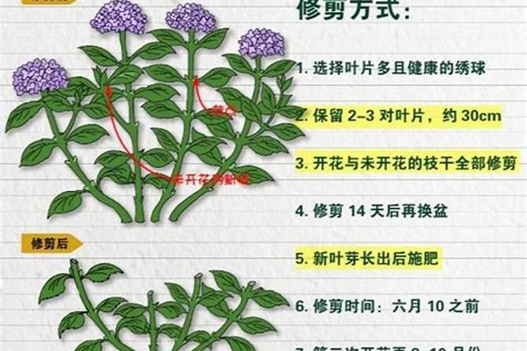 大棚里的西瓜为什么掉下来了是缺水的原因吗？