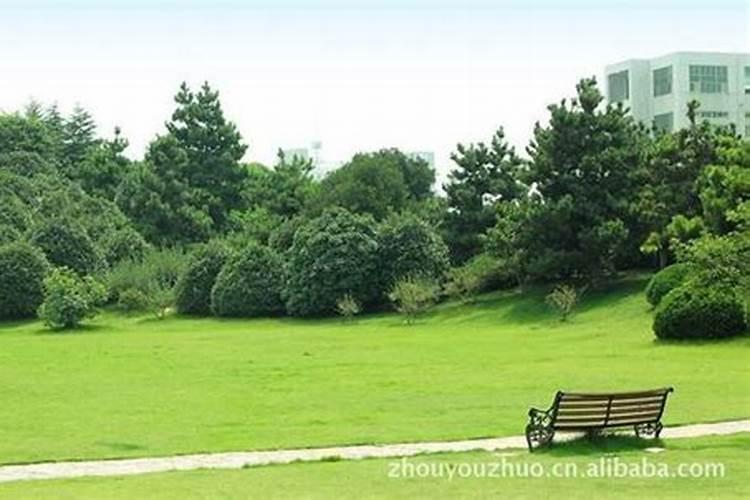 草坪专用肥哪种好？