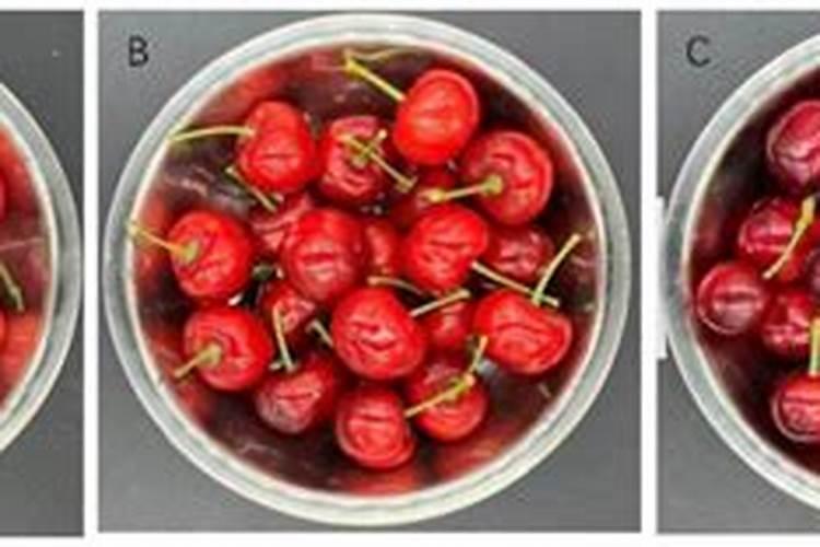 芸苔素内脂在大樱桃树上的具体使用配比
