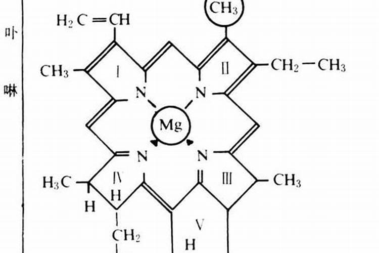 钙镁肥对植物的作用