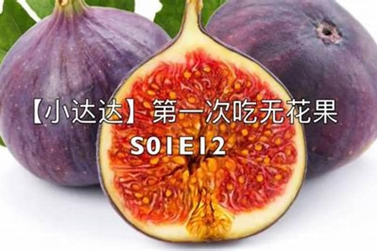 种植无花果适合用什么肥料？