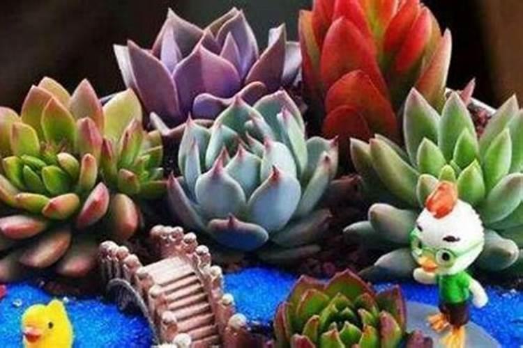 无土栽培蔬菜营养液那个牌子好