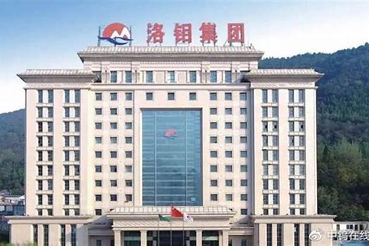 洛阳钼业主要生产什么