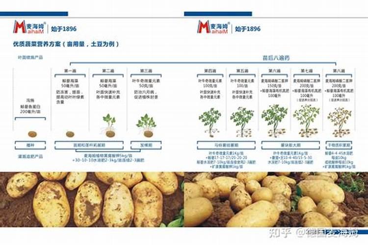 世界水溶肥前十品牌