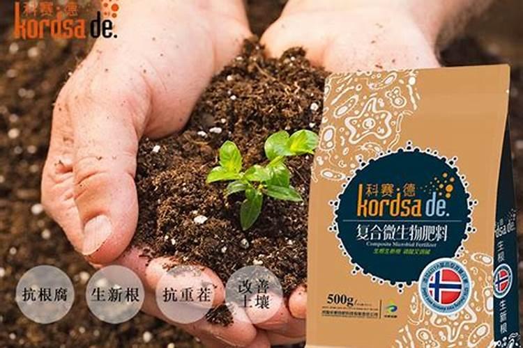 兰花什么时候施肥最好 兰花施肥用什么肥最好(氮磷钾肥)
