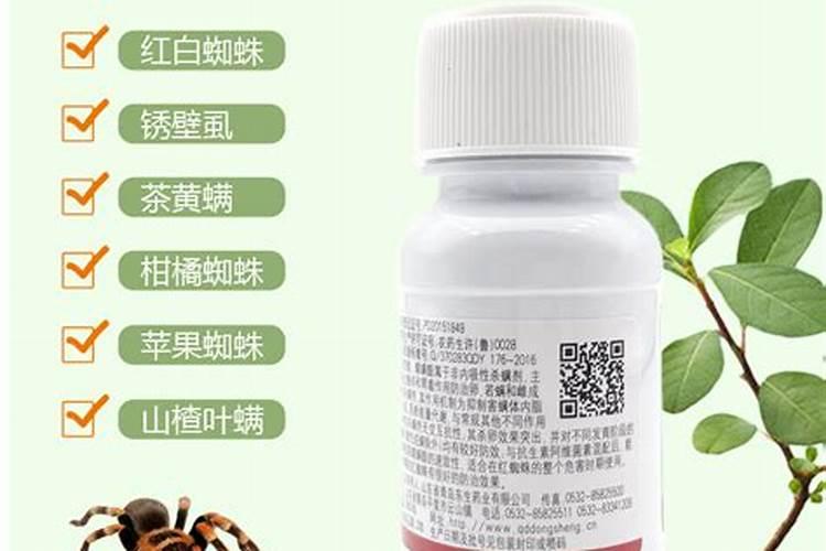 黄瓜这是怎么了？并且咨询一下有哪些治红蜘蛛的好药好办法？