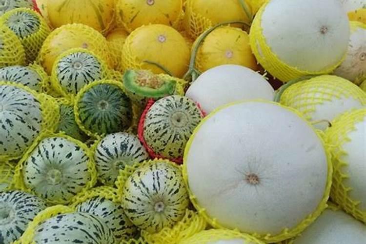 想要让香瓜种的又大又甜,种植的时候要注意什么？