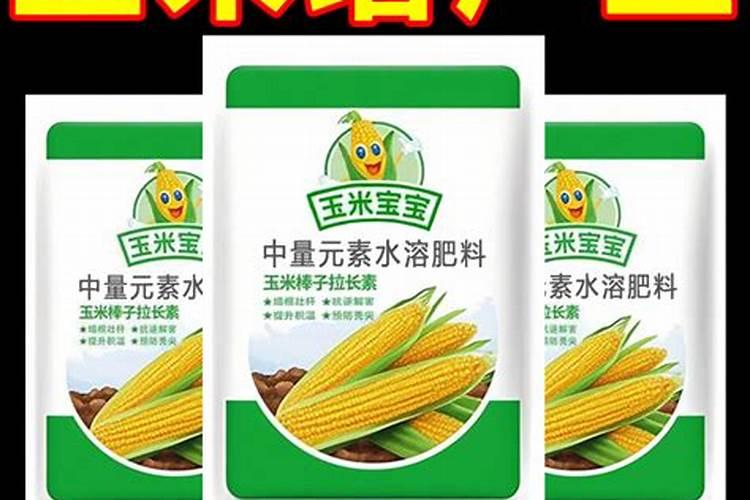 玉米6到9喷叶面肥有什么作用