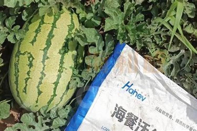 水溶肥什么牌子的最好最安全