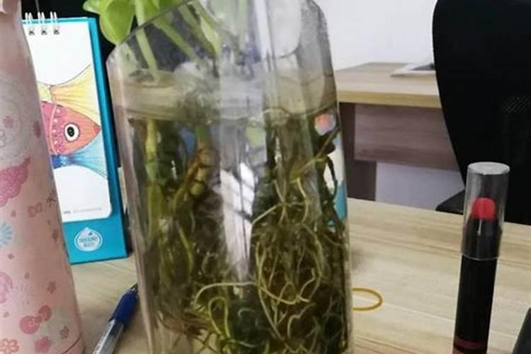 磷肥有哪些种类与用途