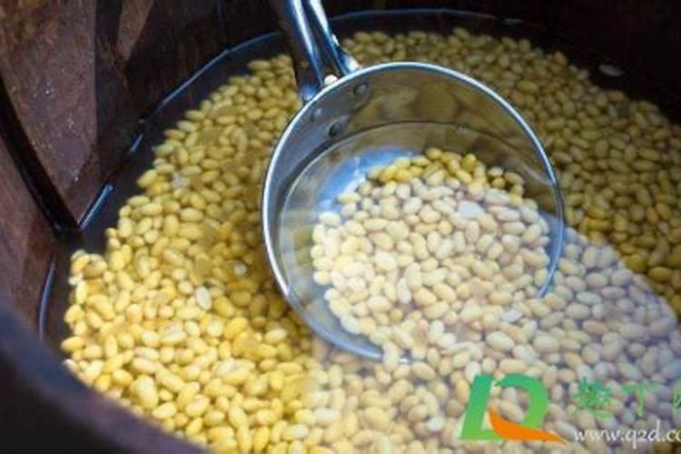 黄豆怎样沤肥不臭