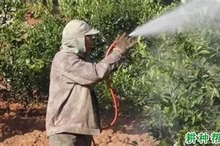 植物肥料过多枯萎了怎么办 植物肥料过多枯萎了解决办法