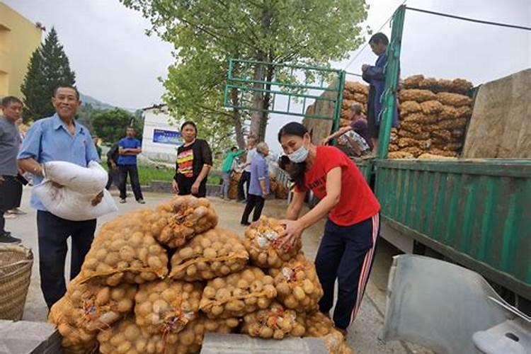 种植土豆用什么化肥