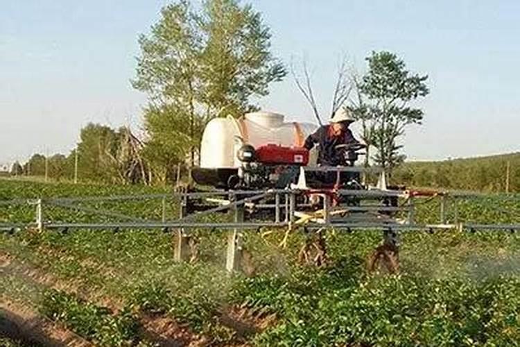 春雷王铜能治什么,和叶面肥能混用吗