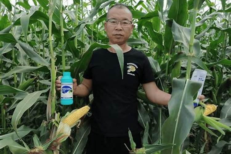 尿素可以用来给花草施肥吗？尿素和水的比例最好是多少？