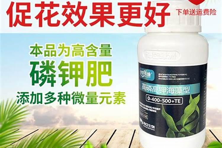 怎样提高果树移栽成活率