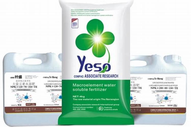 新买的富贵竹叶子有点变黄是不是水加多了或叶靣喷水多了？