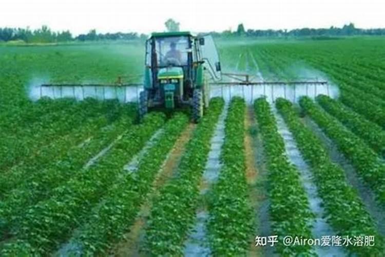 根茎类用硅叶面肥有什么好处