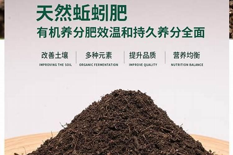 蚯蚓粪如何做有机肥