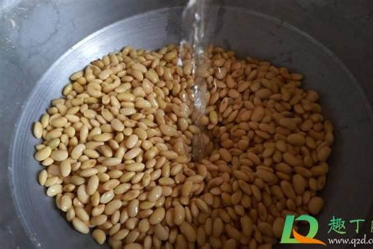 黄豆怎么发酵做肥料最简单的方法