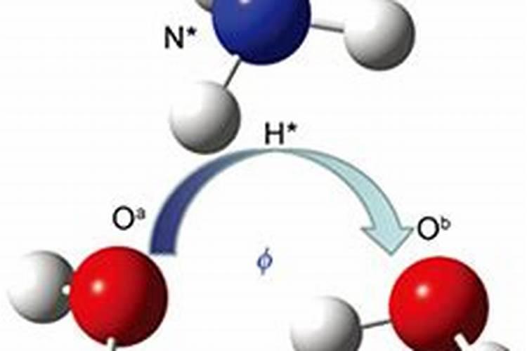 氮肥一般常用是什么肥料