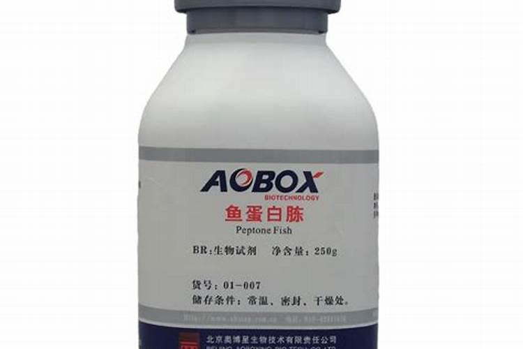 鱼蛋白自制配方比例