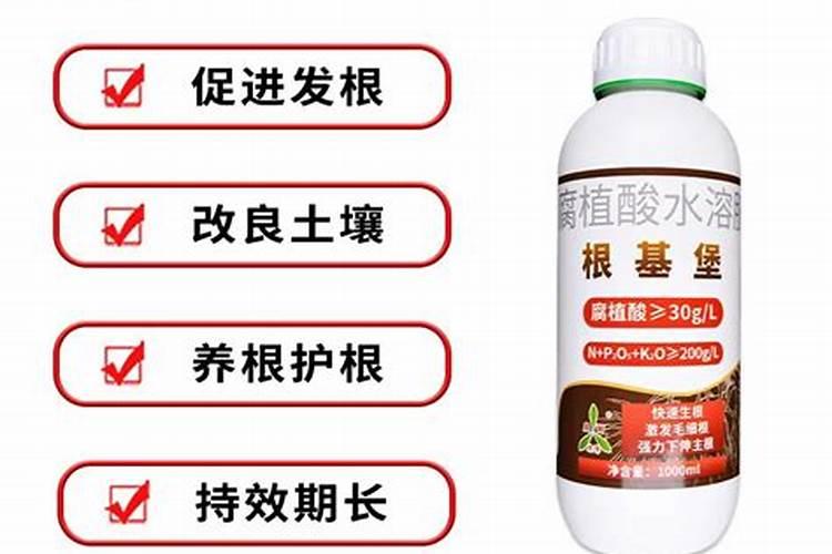 噻唑磷水剂使用方法