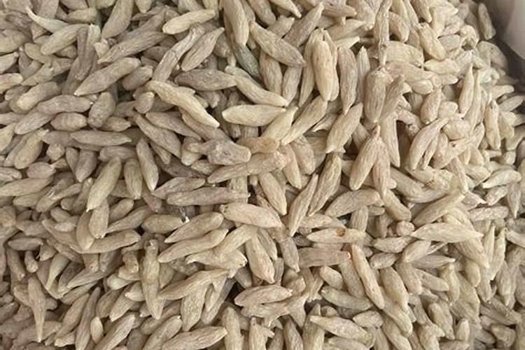 中药材使用叶面肥的好处有哪些,中药材使用叶面肥的注意事项!