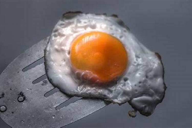 鱼蛋白肥料的缺点