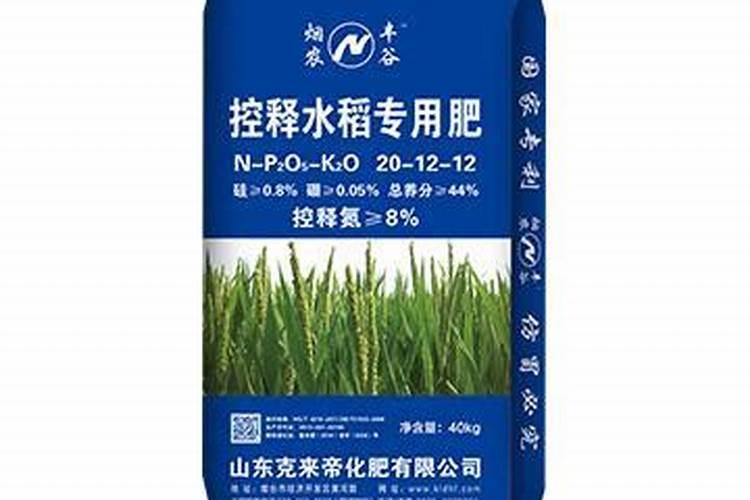 西红柿移栽后几天浇水西红柿浇水注意事项