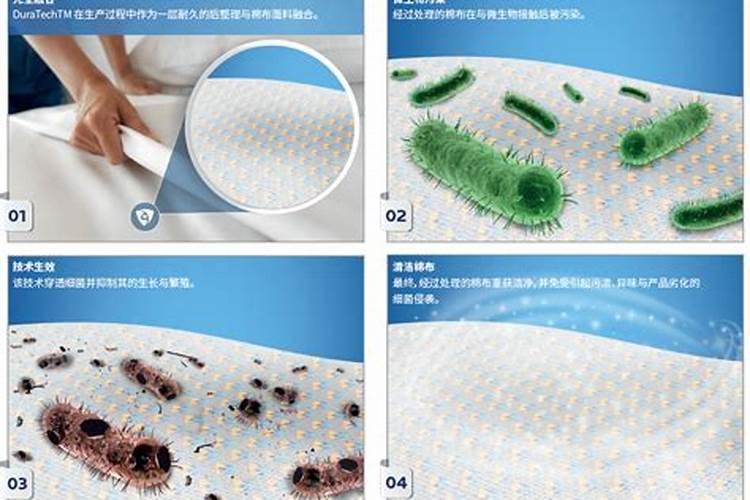 本清速溶抗菌剂的作用？