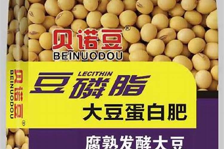 大豆内含什么菌肥