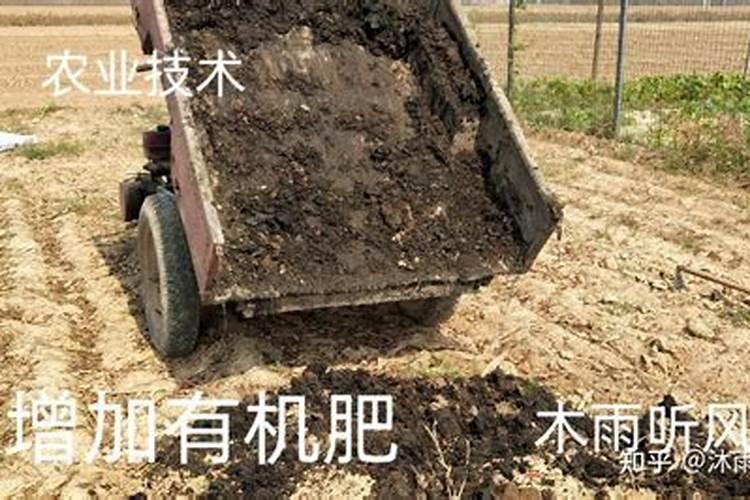 简要说明东北地区保持和不断提高黑土肥力的主要措施