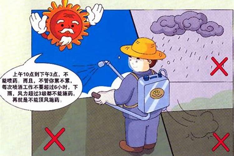 下雨前施肥还是下雨后施肥