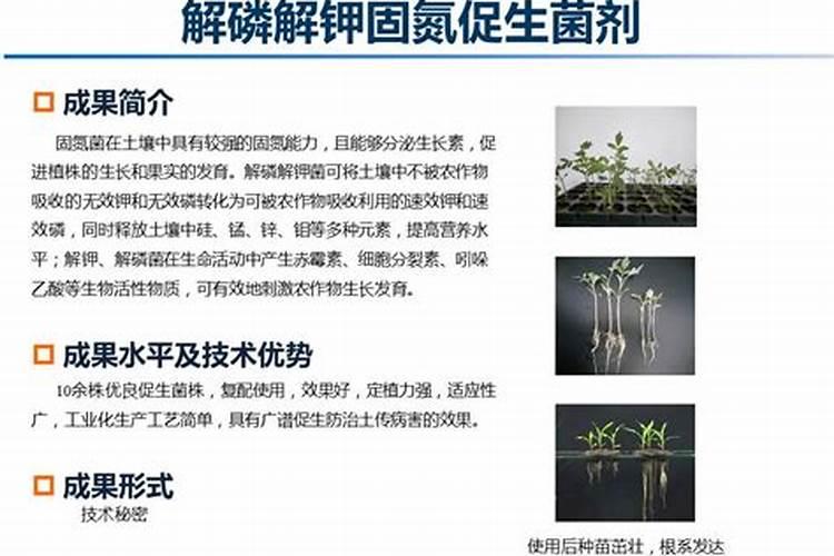 微生物菌剂种类及作用