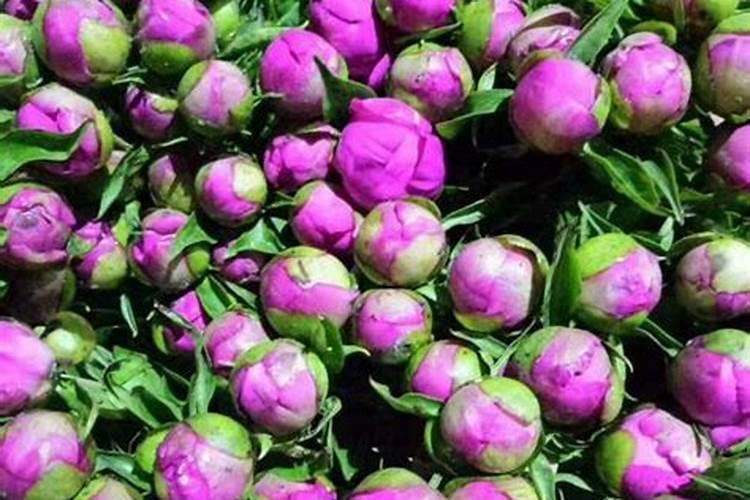 水溶肥执行标准是什么