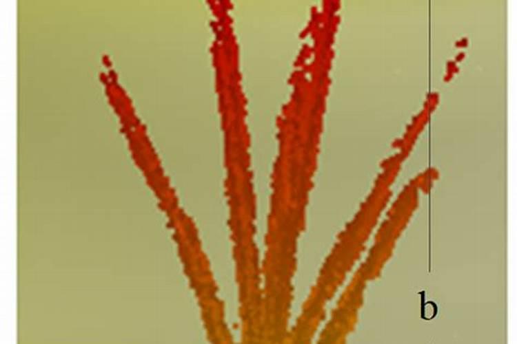 果树黄叶死苗烂根用什么好,重茬根腐用啥灌根,抗重茬的特效药根小子百...