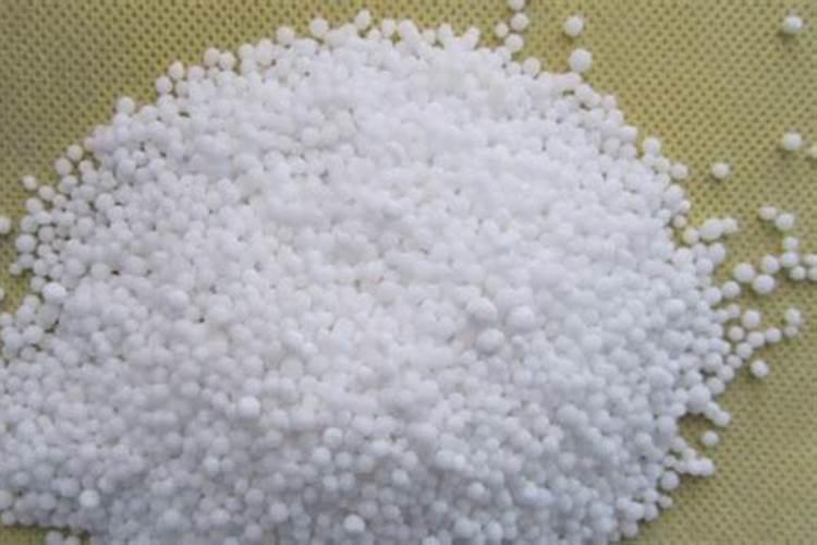 荔枝开花施什么肥