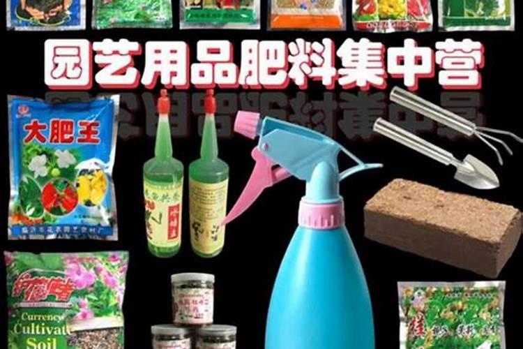 丽格海棠施肥技巧