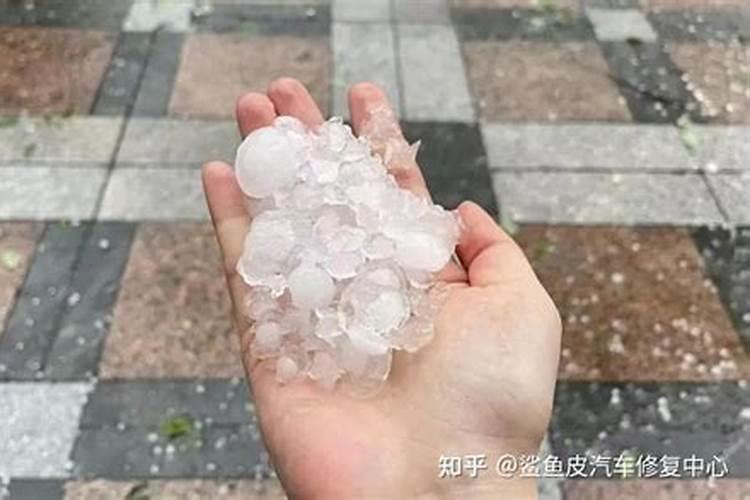 大豆被冰雹砸了有补救的方法吗？