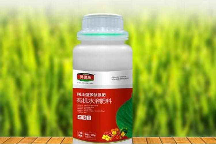 辣椒育苗中,怎样预防高脚苗和僵化苗现象？