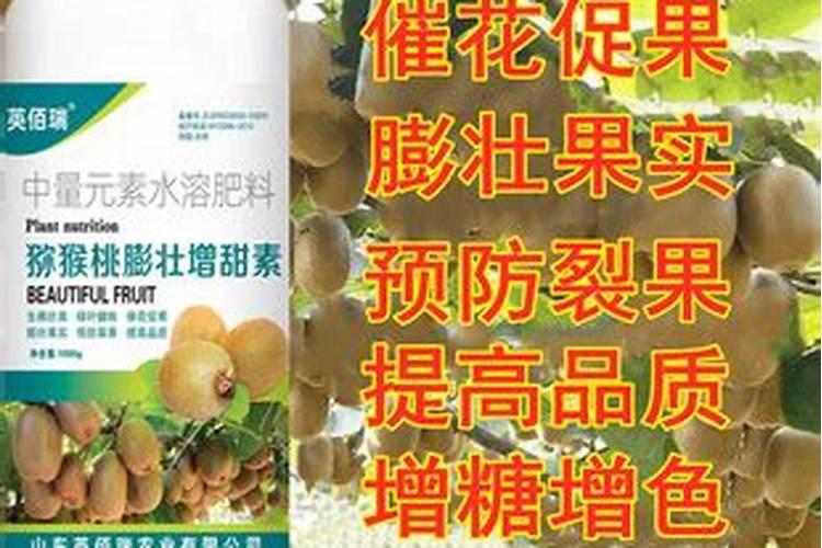 猕猴桃挂果后施什么肥料