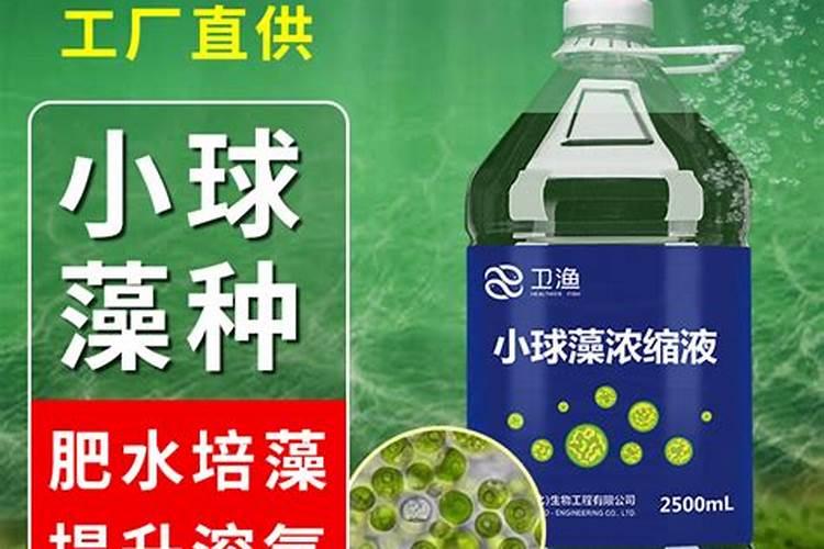 水产养殖户应该如何做好水体的藻菌调控工作？