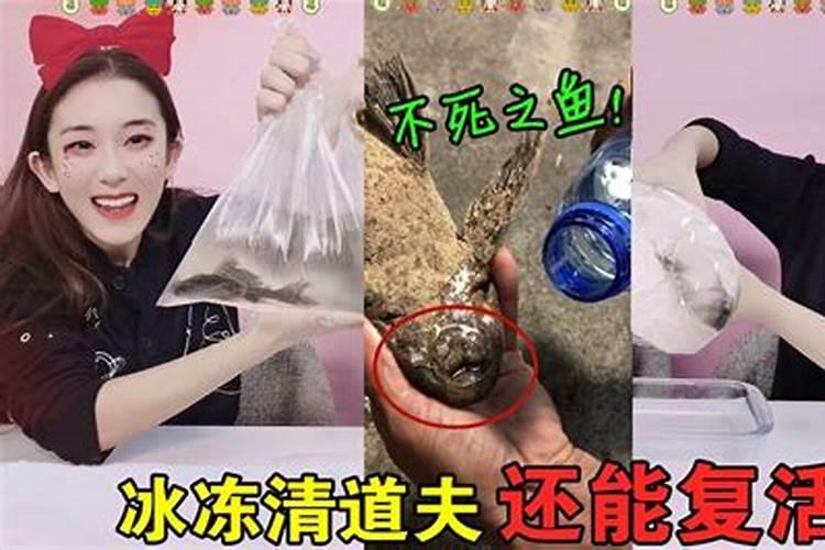 金秋砂糖桔着色了可以淋鱼蛋白水吗