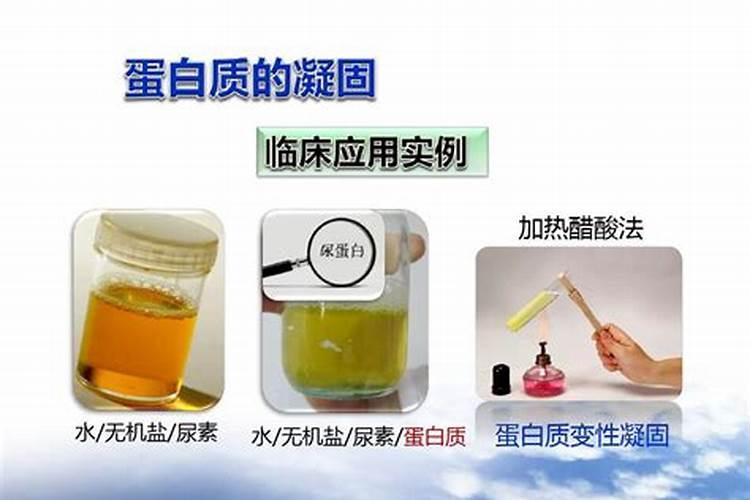 罗赛洛鱼胶原蛋白冲泡以后表面漂浮泡沫,正常吗？