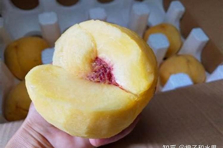 桃子下面特别苦怎么回事