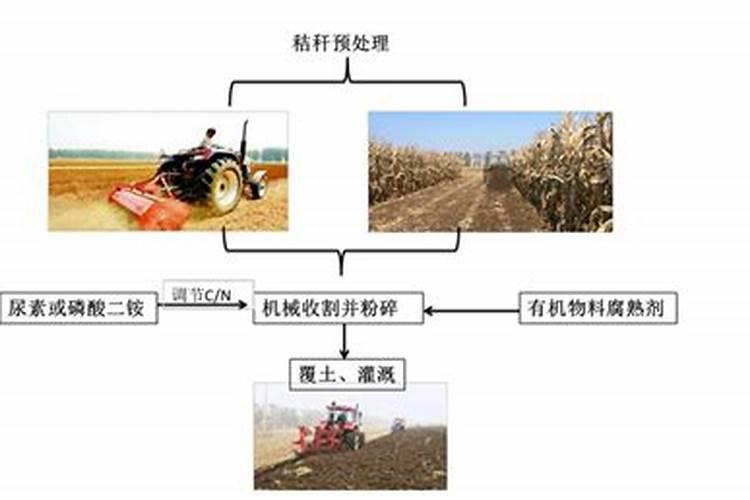 秸秆利用的五种方式