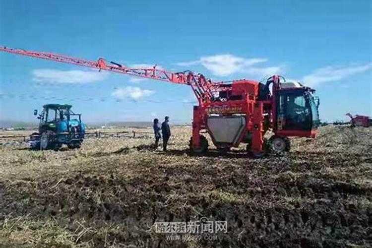 秸秆利用的五种方式